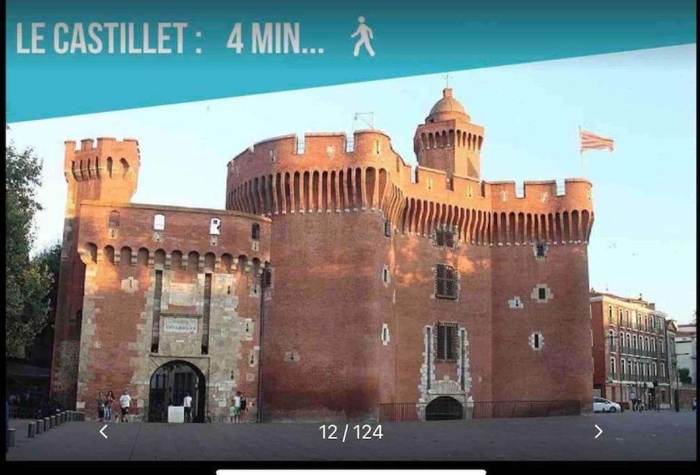 En Plein Coeur De Perpignan Le Charmant Eksteriør bilde